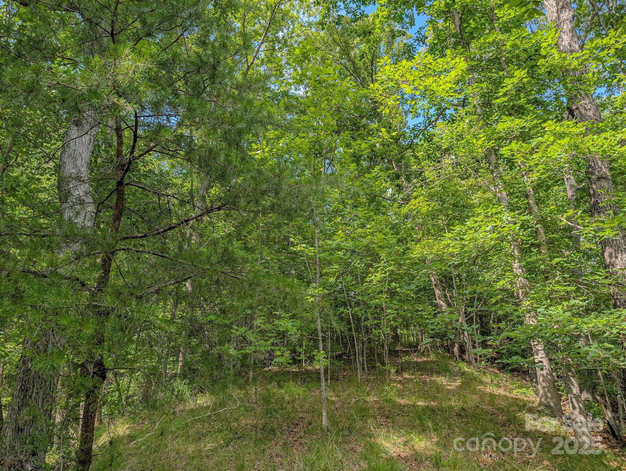 Tbd Tbd Parkway Rd Mill Spring North, Unit 3 Mill Spring, NC 28756 - Photo 13 of 29 a bathroom with a small yard