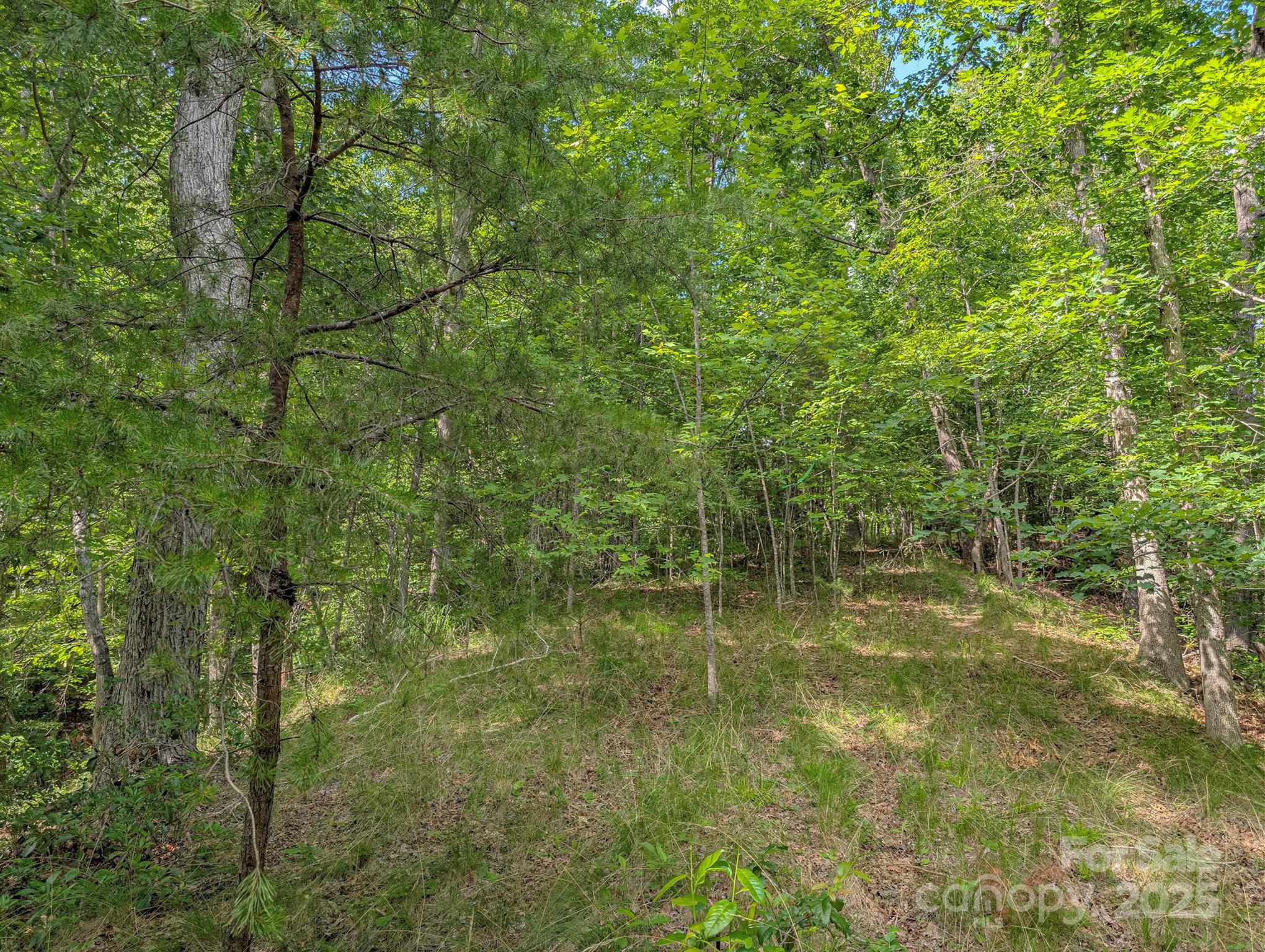 Tbd Tbd Parkway Rd Mill Spring North, Unit 3 Mill Spring, NC 28756 - Photo 16 of 29 a view of outdoor space and trees