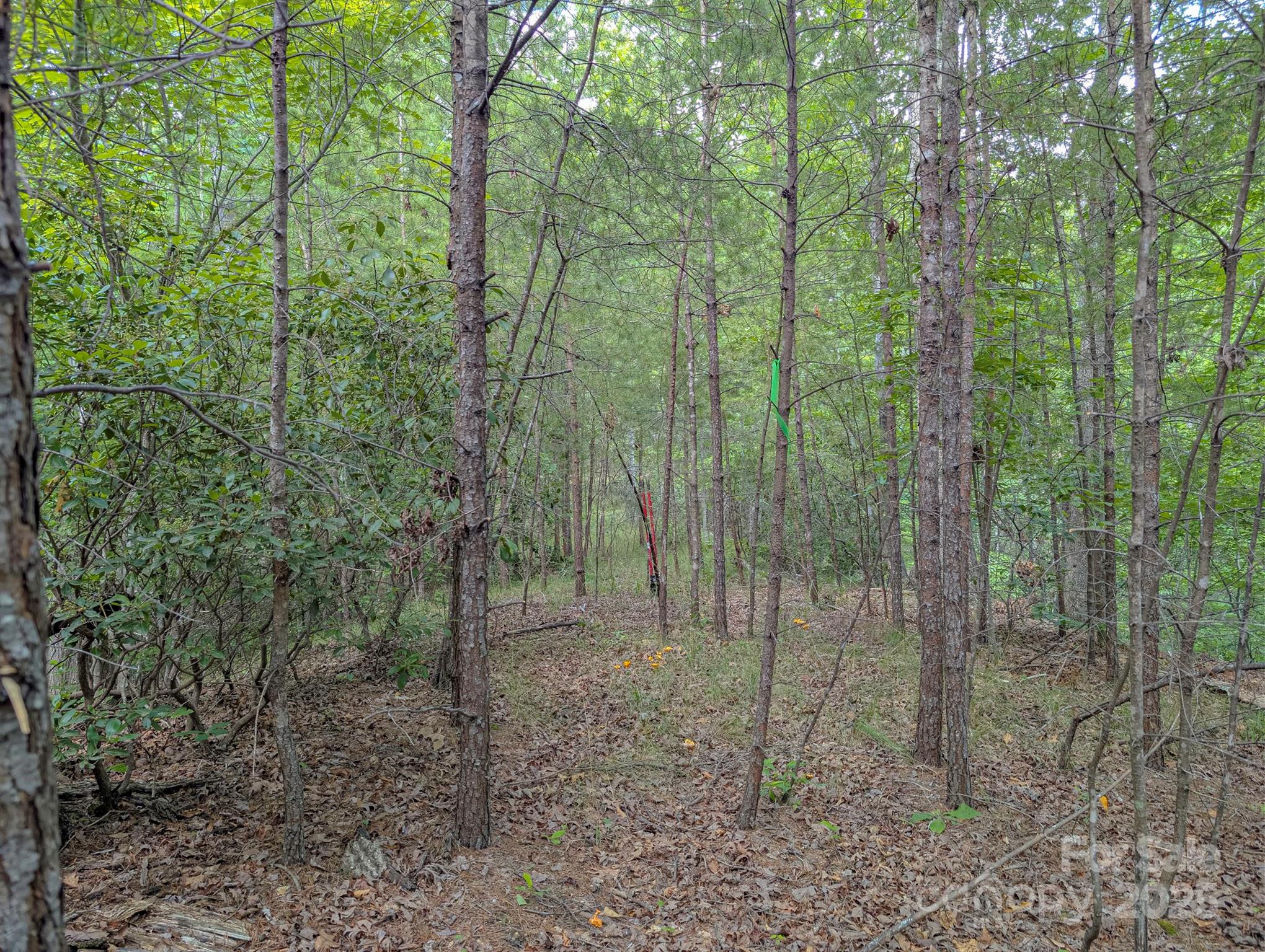 Tbd Tbd Parkway Rd Mill Spring North, Unit 3 Mill Spring, NC 28756 - Photo 19 of 29 a view of outdoor space and green space