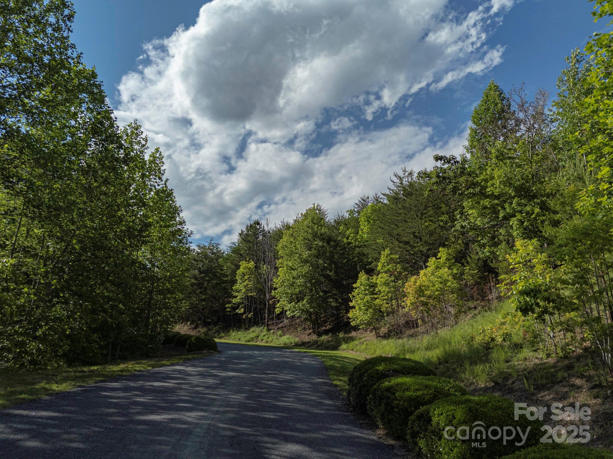 Tbd Tbd Parkway Rd Mill Spring North, Unit 3 Mill Spring, NC 28756 - Photo 20 of 29 a view of a street with a yard