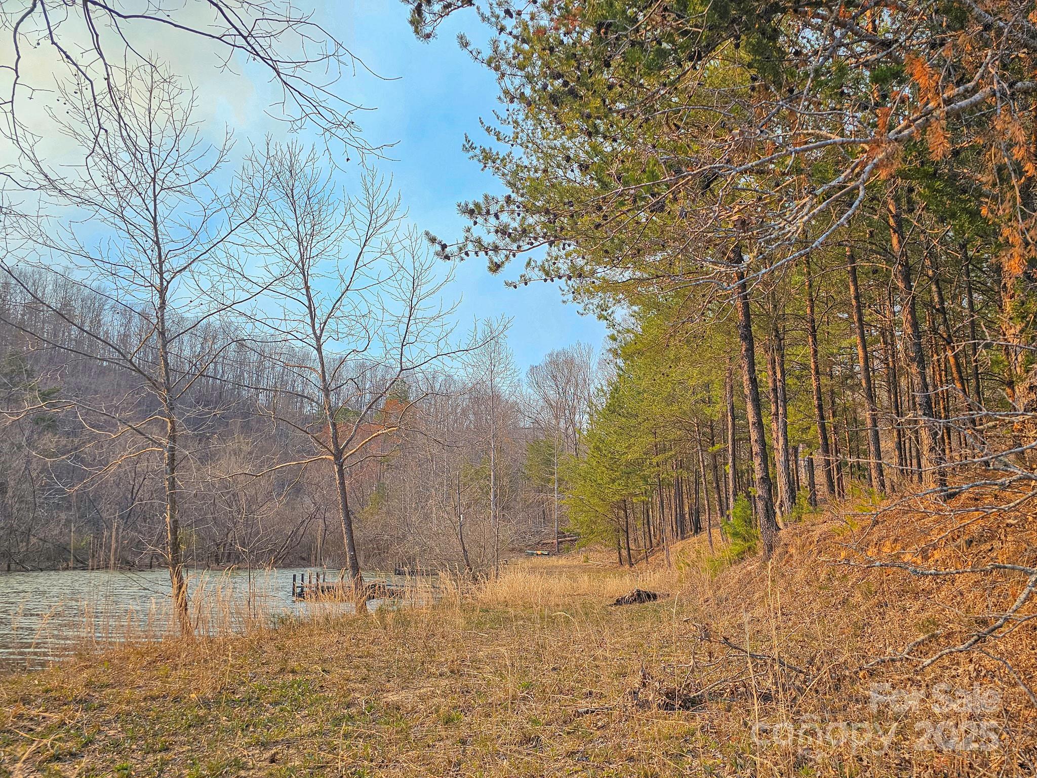Tbd Tbd Parkway Rd Mill Spring North, Unit 3 Mill Spring, NC 28756 - Photo 2 of 29 a view of a yard with large trees