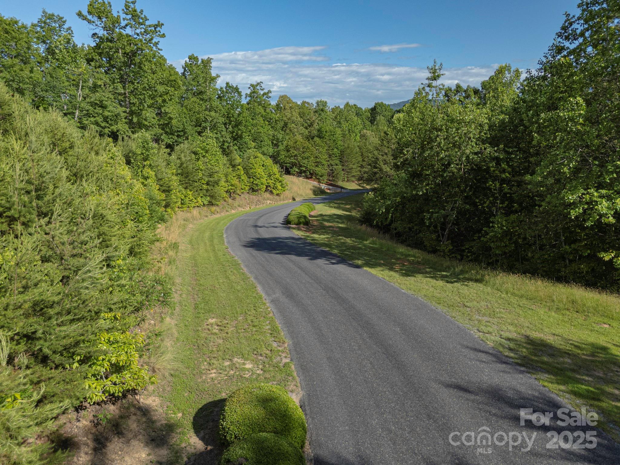 Tbd Tbd Parkway Rd Mill Spring North, Unit 3 Mill Spring, NC 28756 - Photo 21 of 29 a view of a yard with an trees