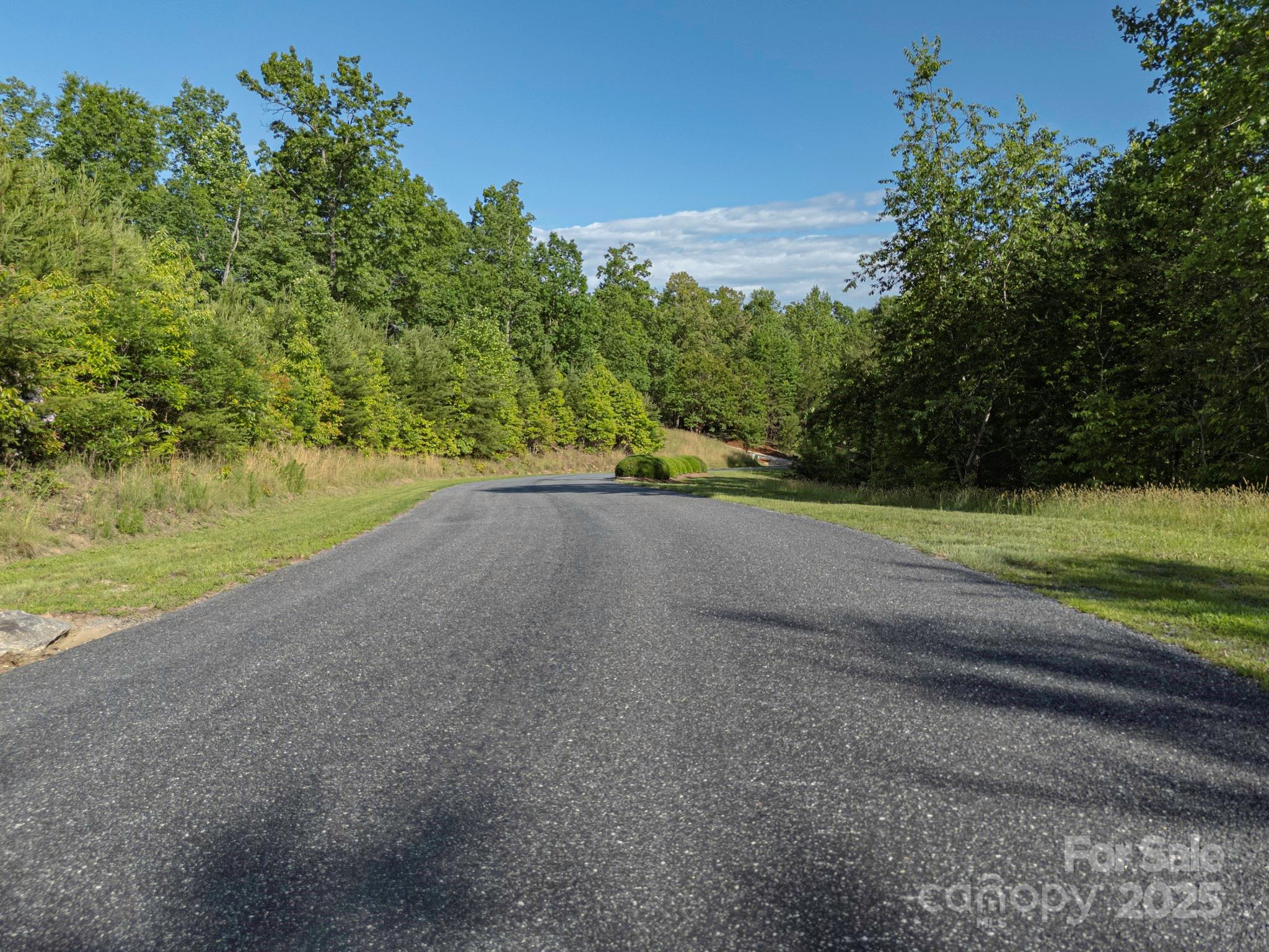 Tbd Tbd Parkway Rd Mill Spring North, Unit 3 Mill Spring, NC 28756 - Photo 22 of 29 a view of a yard with a tree
