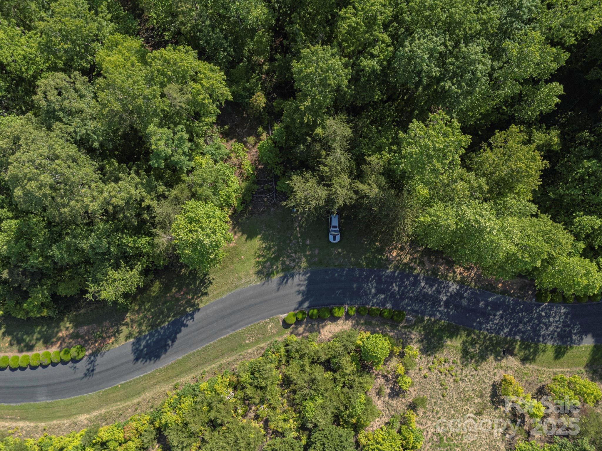 Tbd Tbd Parkway Rd Mill Spring North, Unit 3 Mill Spring, NC 28756 - Photo 23 of 29 a view of a garden with plants