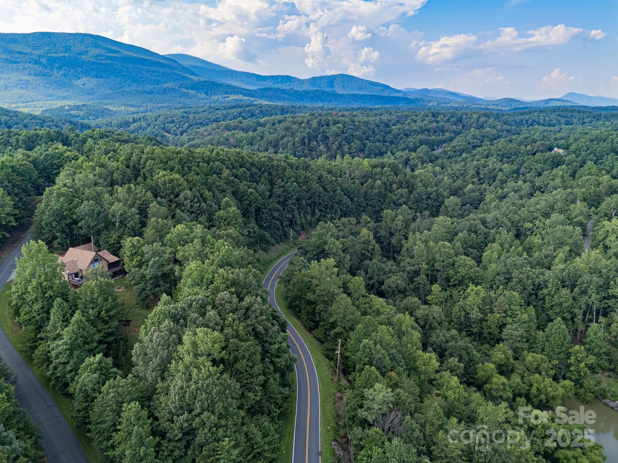Tbd Tbd Parkway Rd Mill Spring North, Unit 3 Mill Spring, NC 28756 - Photo 24 of 29 a view of a lush green forest with lots of trees