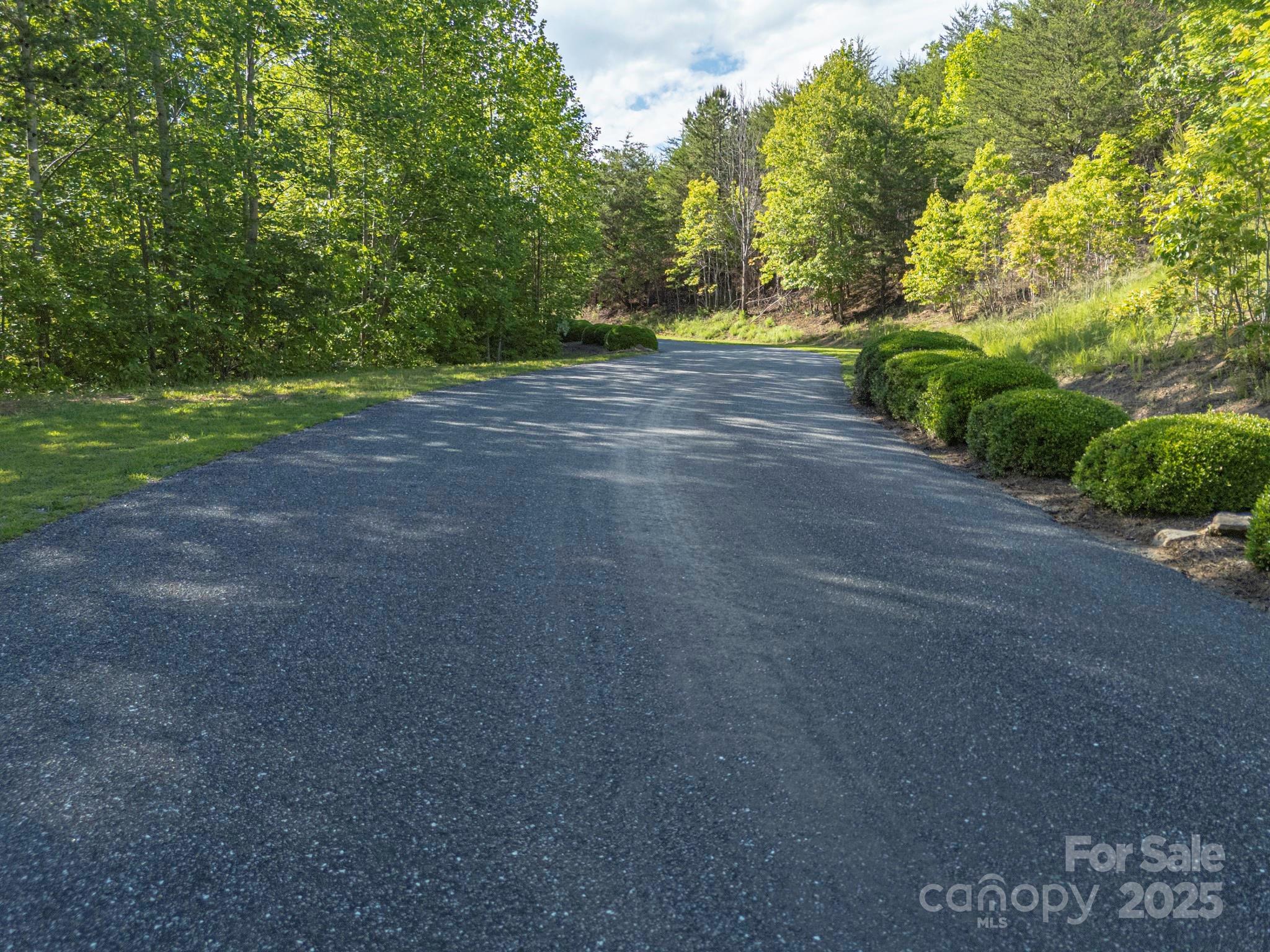 Tbd Tbd Parkway Rd Mill Spring North, Unit 3 Mill Spring, NC 28756 - Photo 25 of 29 a view of a field with trees in background