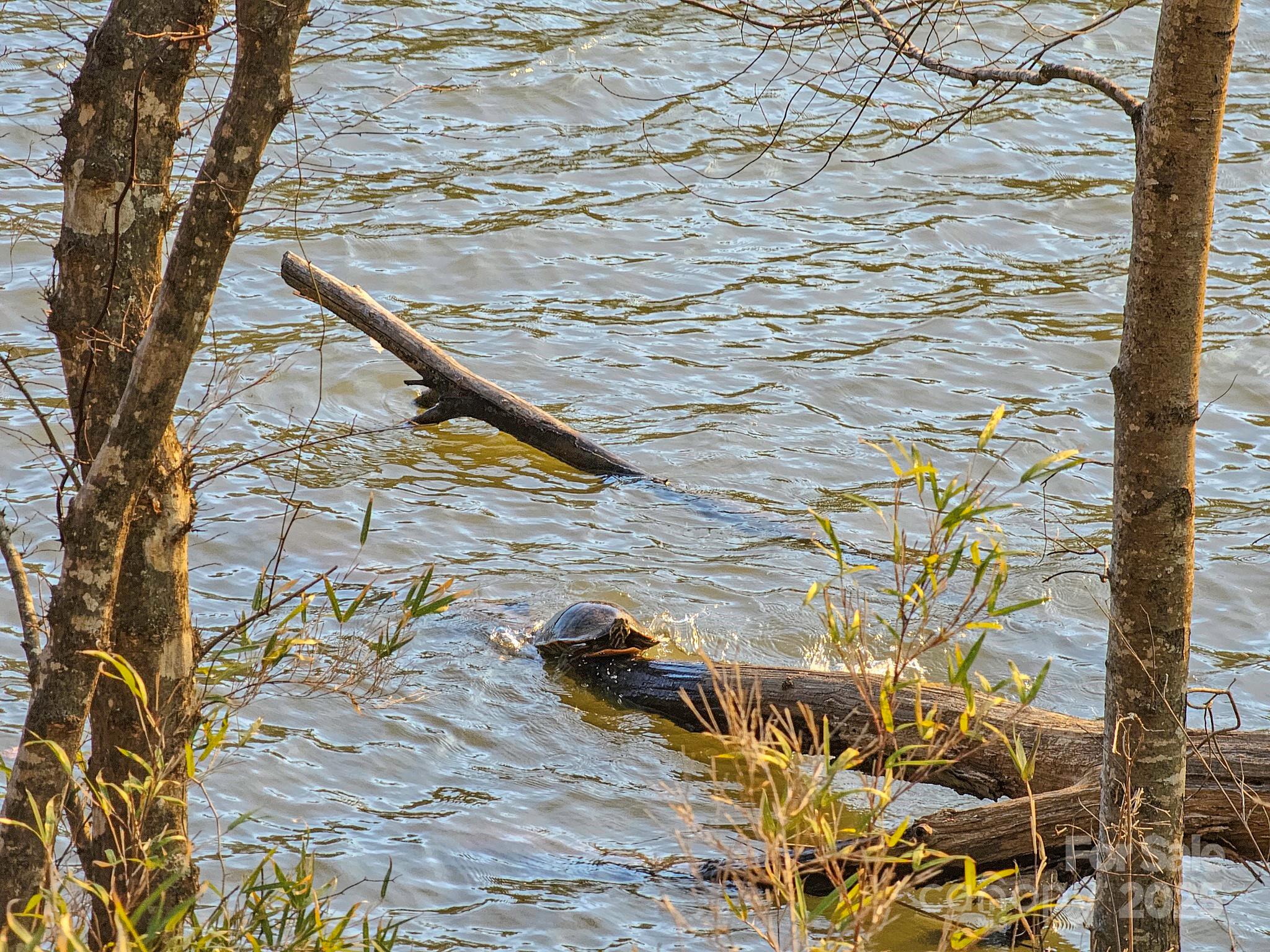 Tbd Tbd Parkway Rd Mill Spring North, Unit 3 Mill Spring, NC 28756 - Photo 26 of 29 a view of a backyard of the house