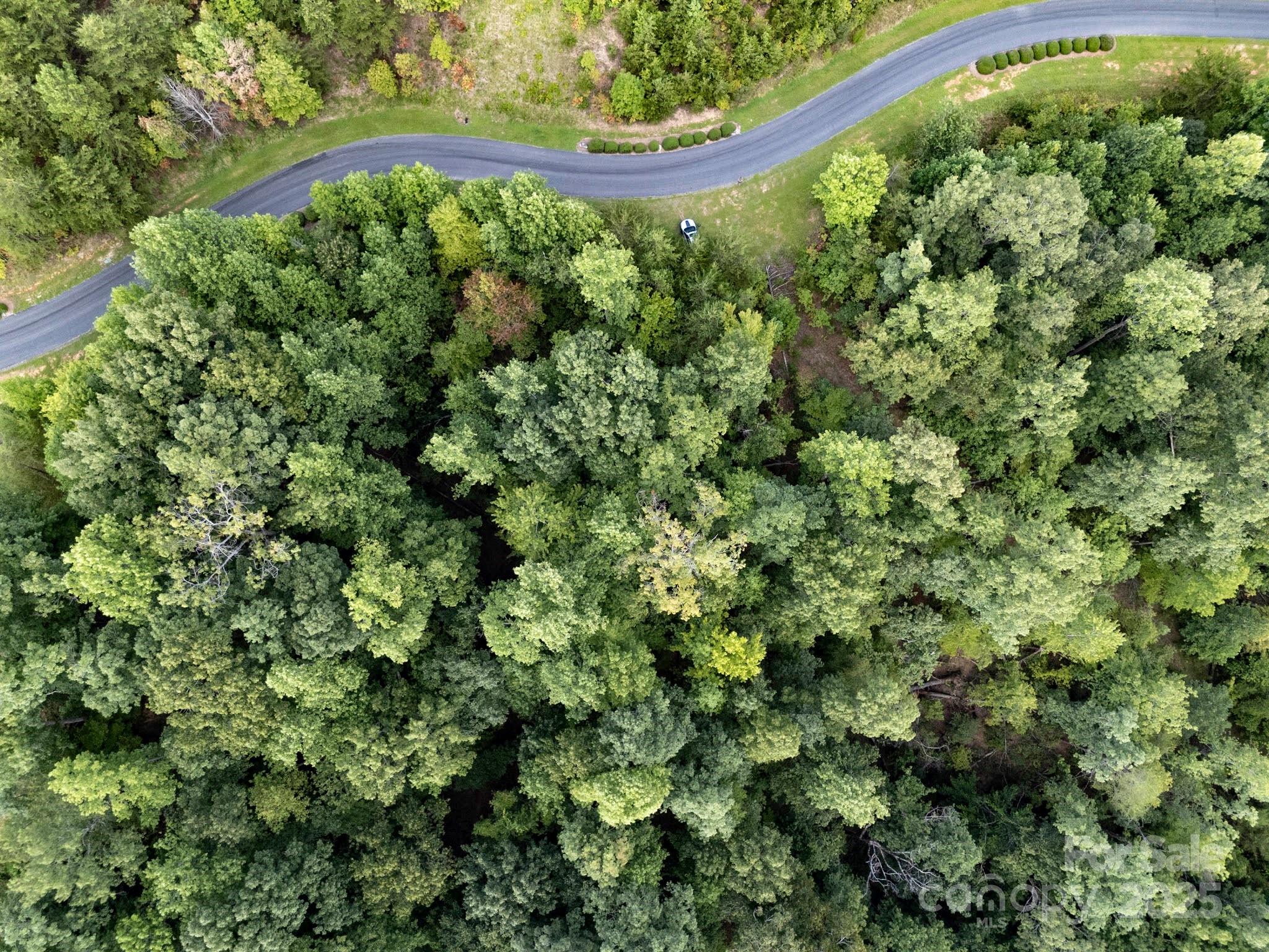 Tbd Tbd Parkway Rd Mill Spring North, Unit 3 Mill Spring, NC 28756 - Photo 3 of 29