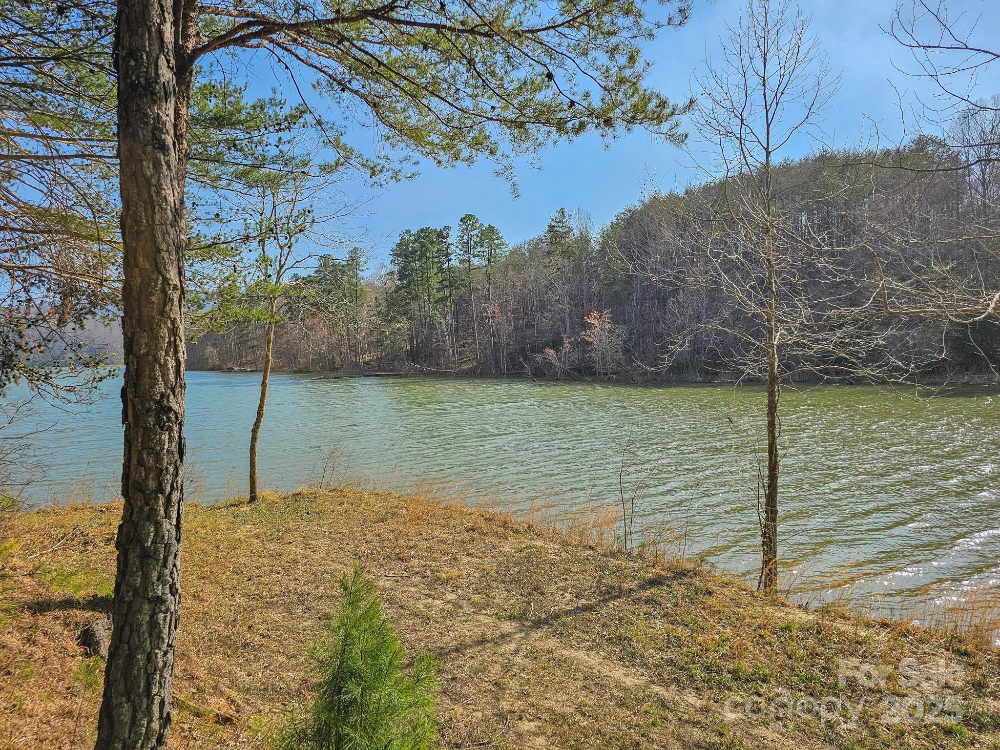 Tbd Tbd Parkway Rd Mill Spring North, Unit 3 Mill Spring, NC 28756 - Photo 6 of 29