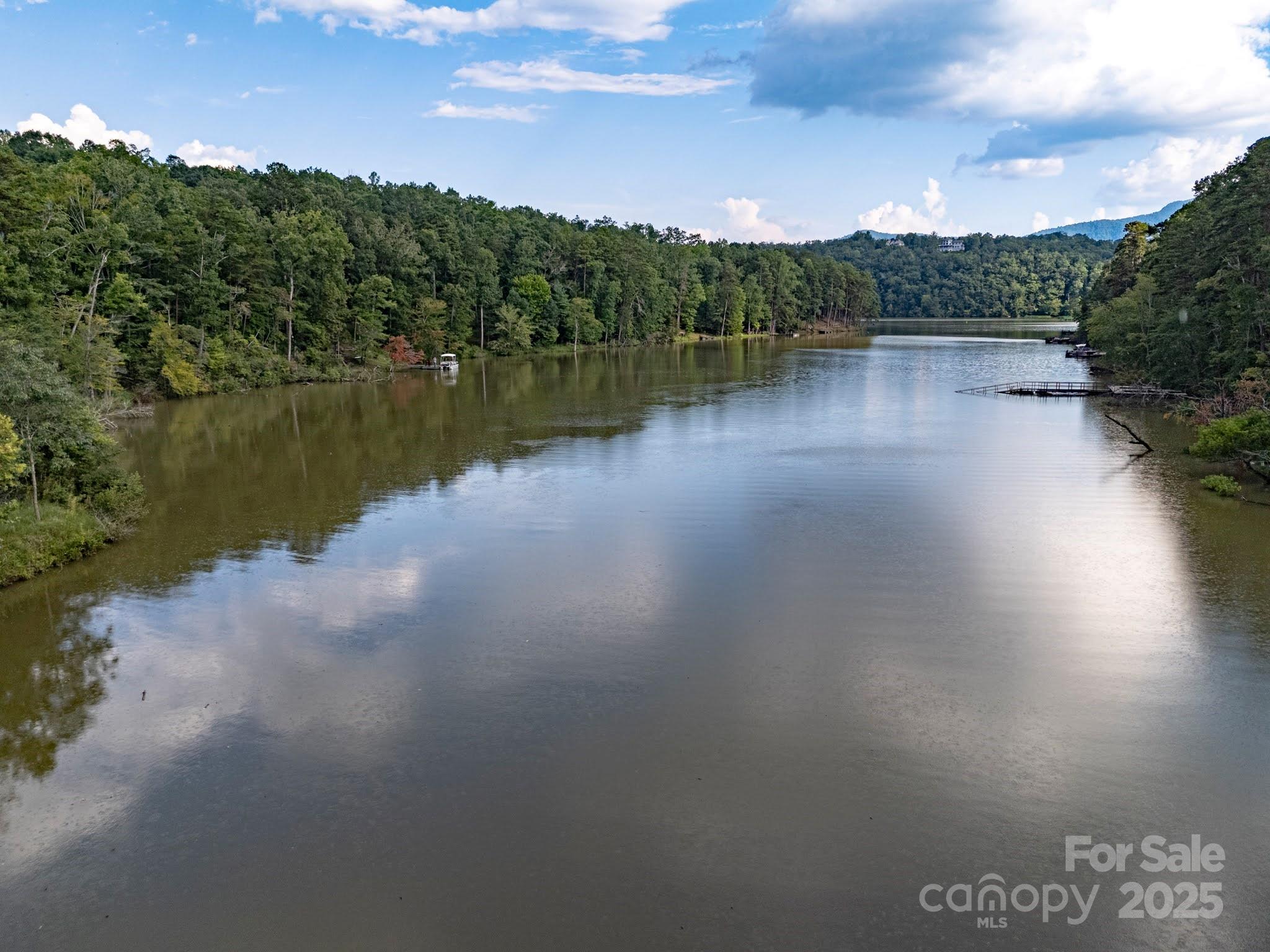 Tbd Tbd Parkway Rd Mill Spring North, Unit 3 Mill Spring, NC 28756 - Photo 8 of 29 a view of a lake with a yard