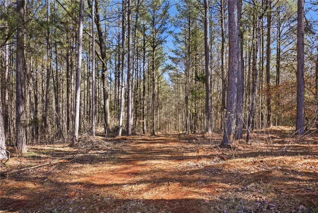 135 McAlister Road West Union, SC 29696 - Photo 38 of 48