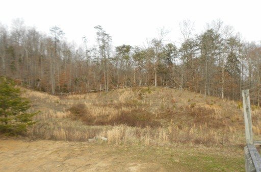 485 Bull Run Road Luttrell, TN 37779 - Photo 2 of 6 Additional Photo
