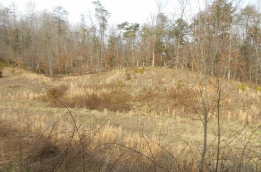 485 Bull Run Road Luttrell, TN 37779 - Photo 3 of 6 Additional Photo