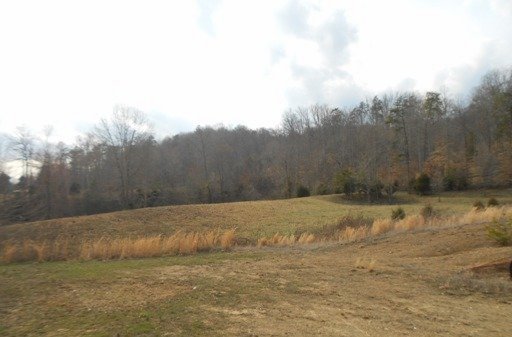485 Bull Run Road Luttrell, TN 37779 - Photo 4 of 6 Additional Photo