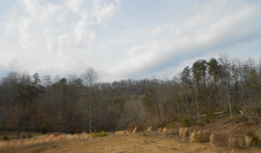 485 Bull Run Road Luttrell, TN 37779 - Photo 5 of 6 Additional Photo