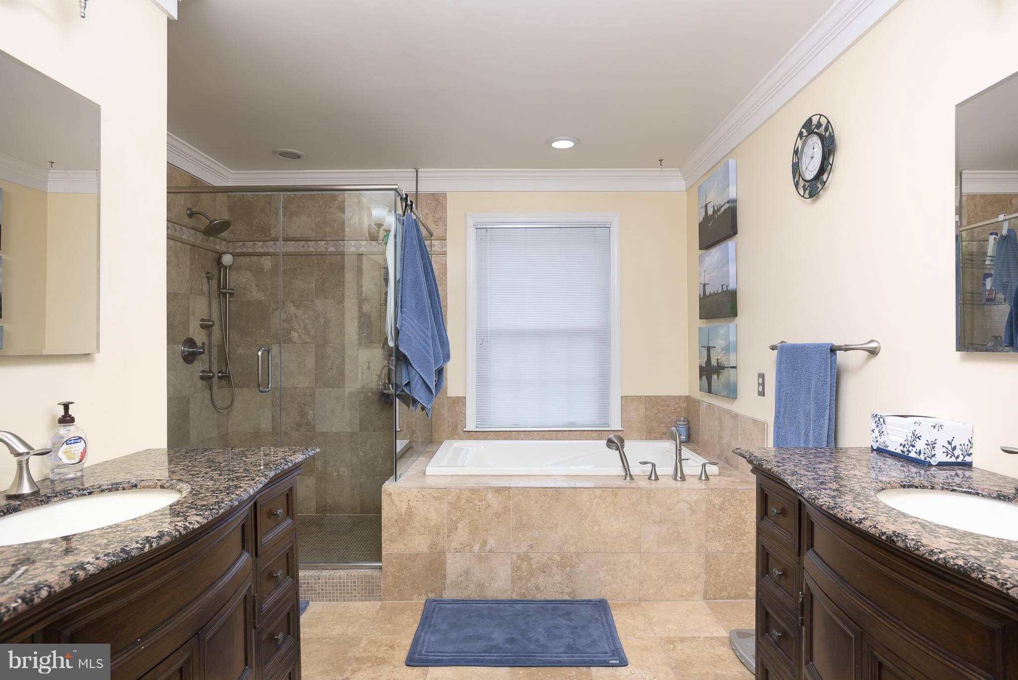 9550 Ridgeview Drive Columbia, MD 21046 - Photo 15 of 30 a bathroom with a granite countertop sink a mirror and a shower