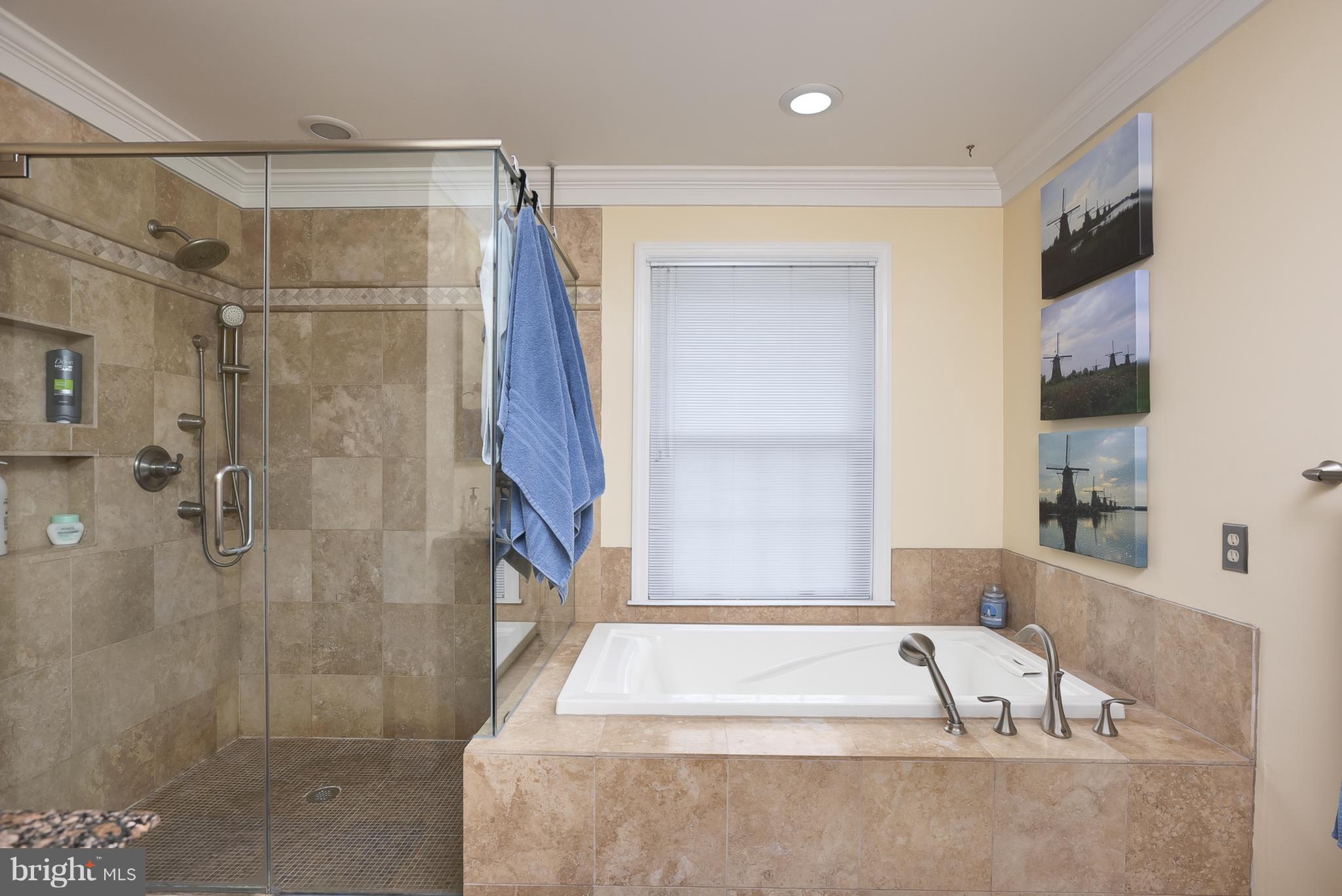 9550 Ridgeview Drive Columbia, MD 21046 - Photo 16 of 30 a bathroom with a bathtub and a shower