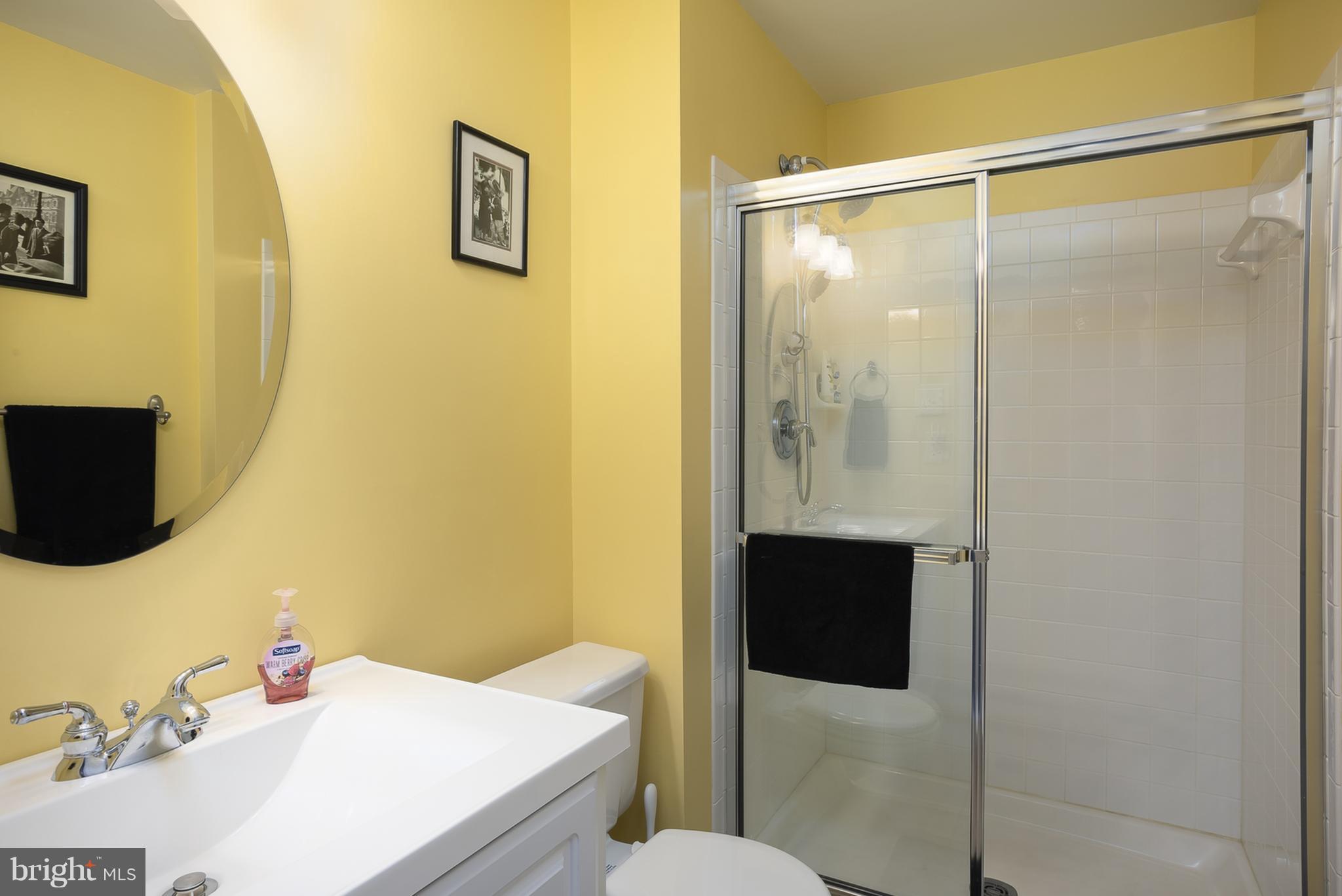 9550 Ridgeview Drive Columbia, MD 21046 - Photo 25 of 30 a bathroom with a sink and mirror