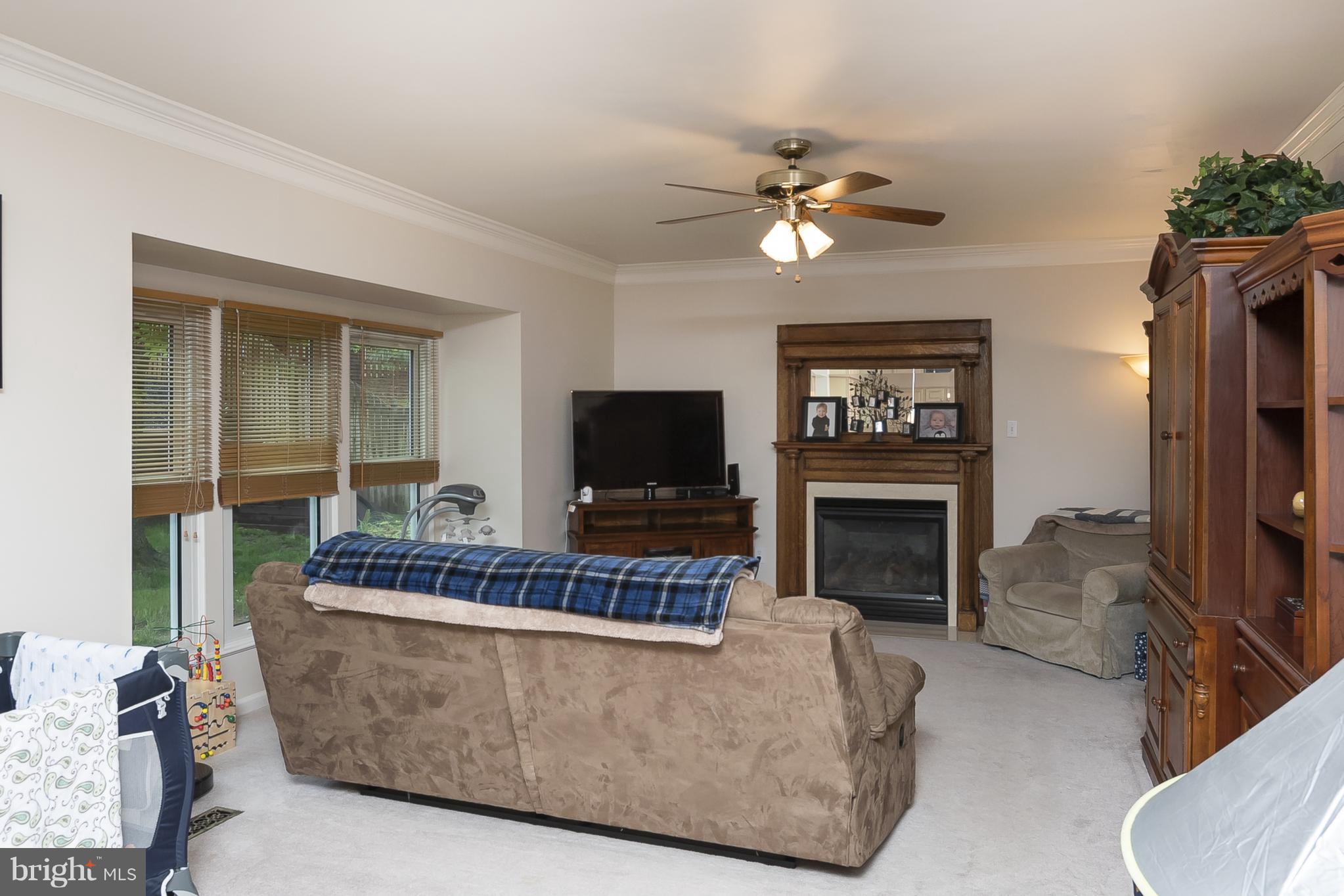 9550 Ridgeview Drive Columbia, MD 21046 - Photo 10 of 30 a living room with furniture a flat screen tv and a fireplace