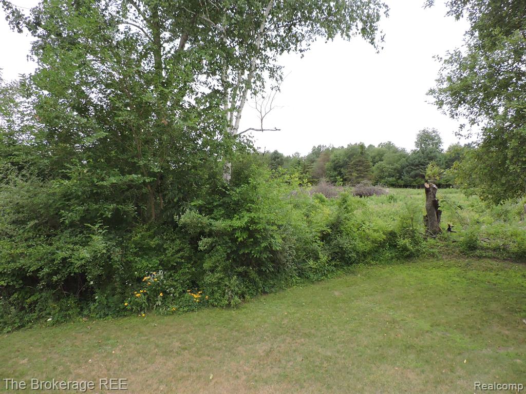 4658 Briggs Road Otter Lake, MI 48464 - Photo 24 of 28