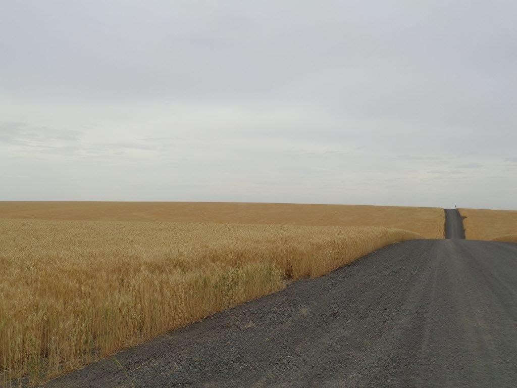 28 & Mohler Road Harrington, WA 99134 - Photo 15 of 20