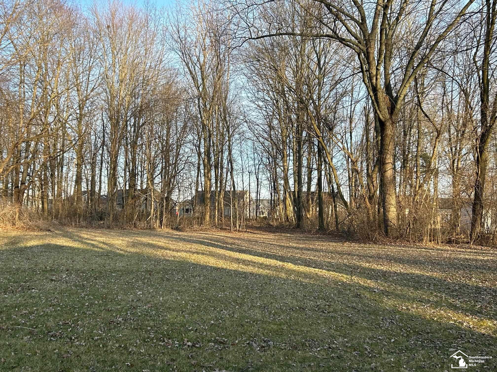 8348 Jackman Road Temperance, MI 48182 - Photo 7 of 66