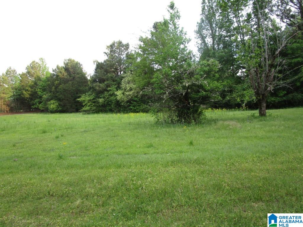 4956 Kings Mill Road Oakman, AL 35579 - Photo 4 of 27