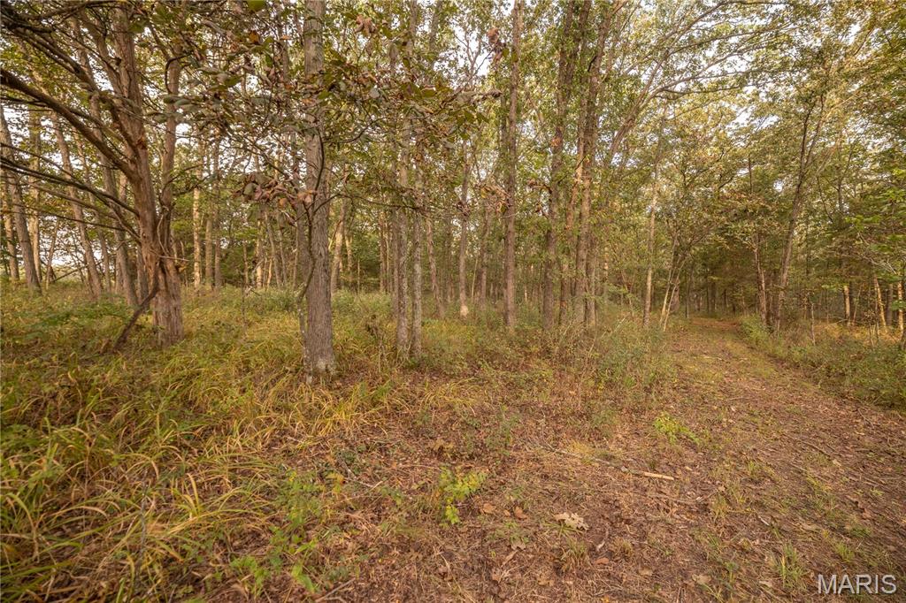 0 Abbott Road Bellflower, MO 63333 - Photo 54 of 86 Gallery Image 54