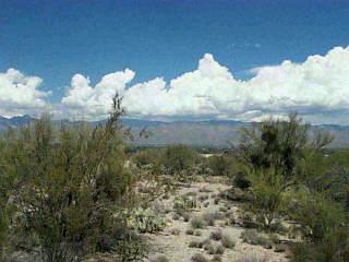 660 North Tanque Verde Loop Road Tucson, AZ 85748 - Photo 3 of 5 Gallery Image 3