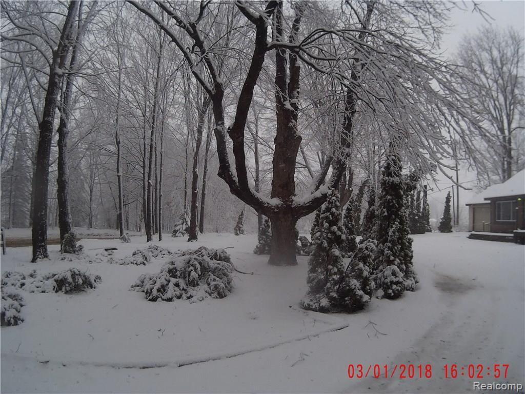 1385 East Maple Road Milford, MI 48381 - Photo 2 of 22 2018_0301_160259_002.JPG