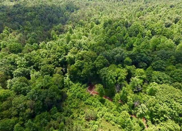 650 Bell Road Dillwyn, VA 23936 - Photo 1 of 1 Gallery Image 1