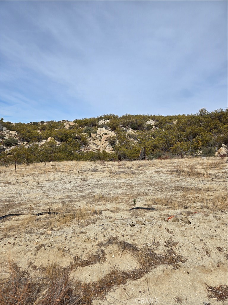 61400 Indian Paint Brush Road Anza, CA 92539 - Photo 9 of 11