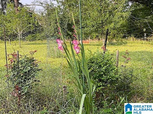 237 Marion Stough Road Fayette, AL 35555 - Photo 54 of 59