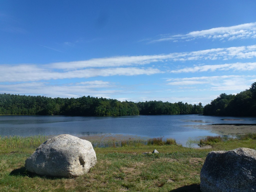 202 Park Place, Unit 202 Raynham, MA 02767 - Photo 23 of 23