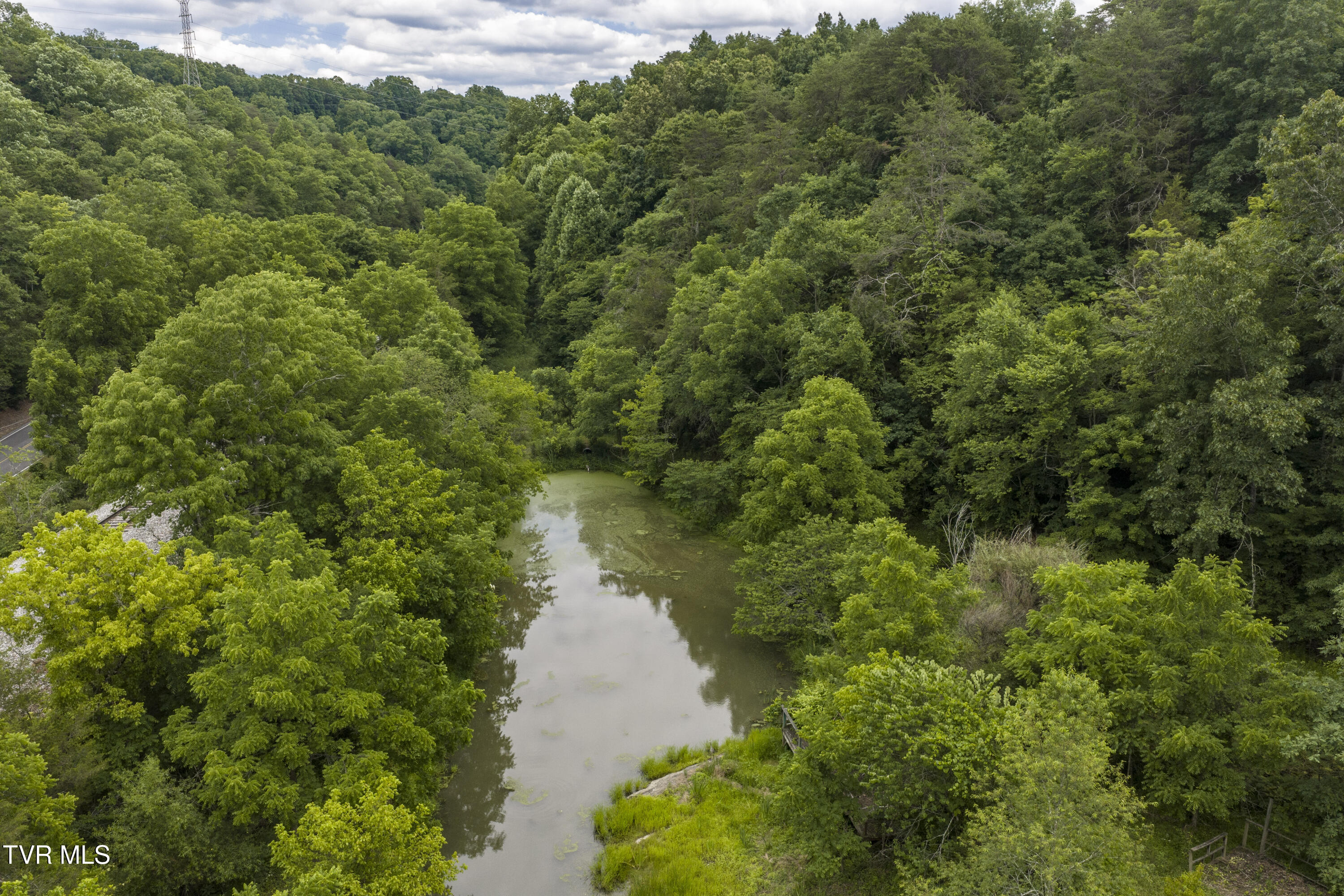 700 Piney Flats Road Piney Flats, TN 37686 - Photo 36 of 44 700-758PineyFlats-Aerials-12