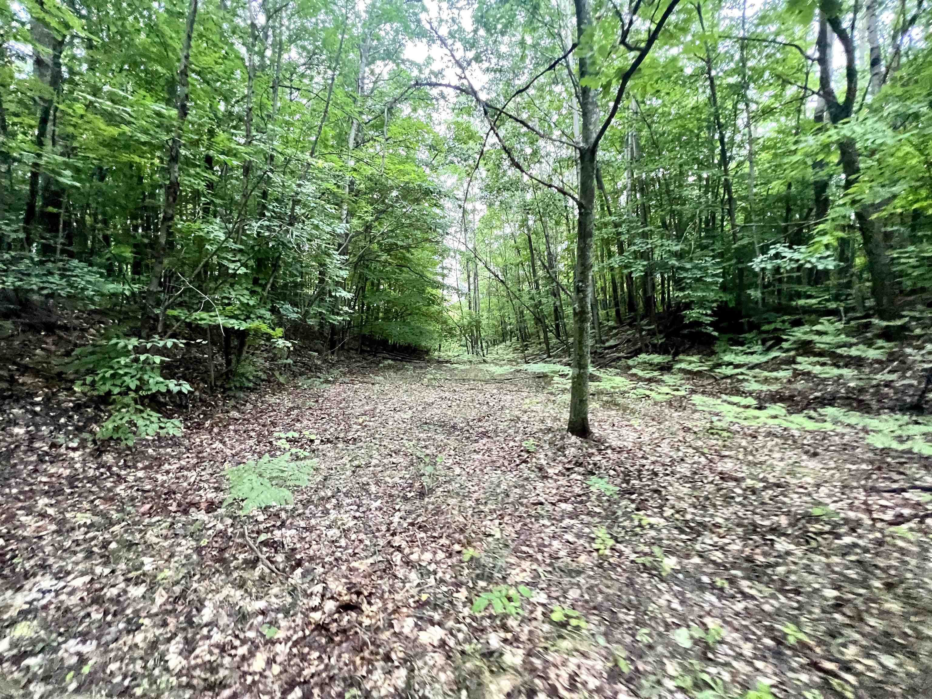8830 Wiitala Road Copemish, MI 49625 - Photo 67 of 73
