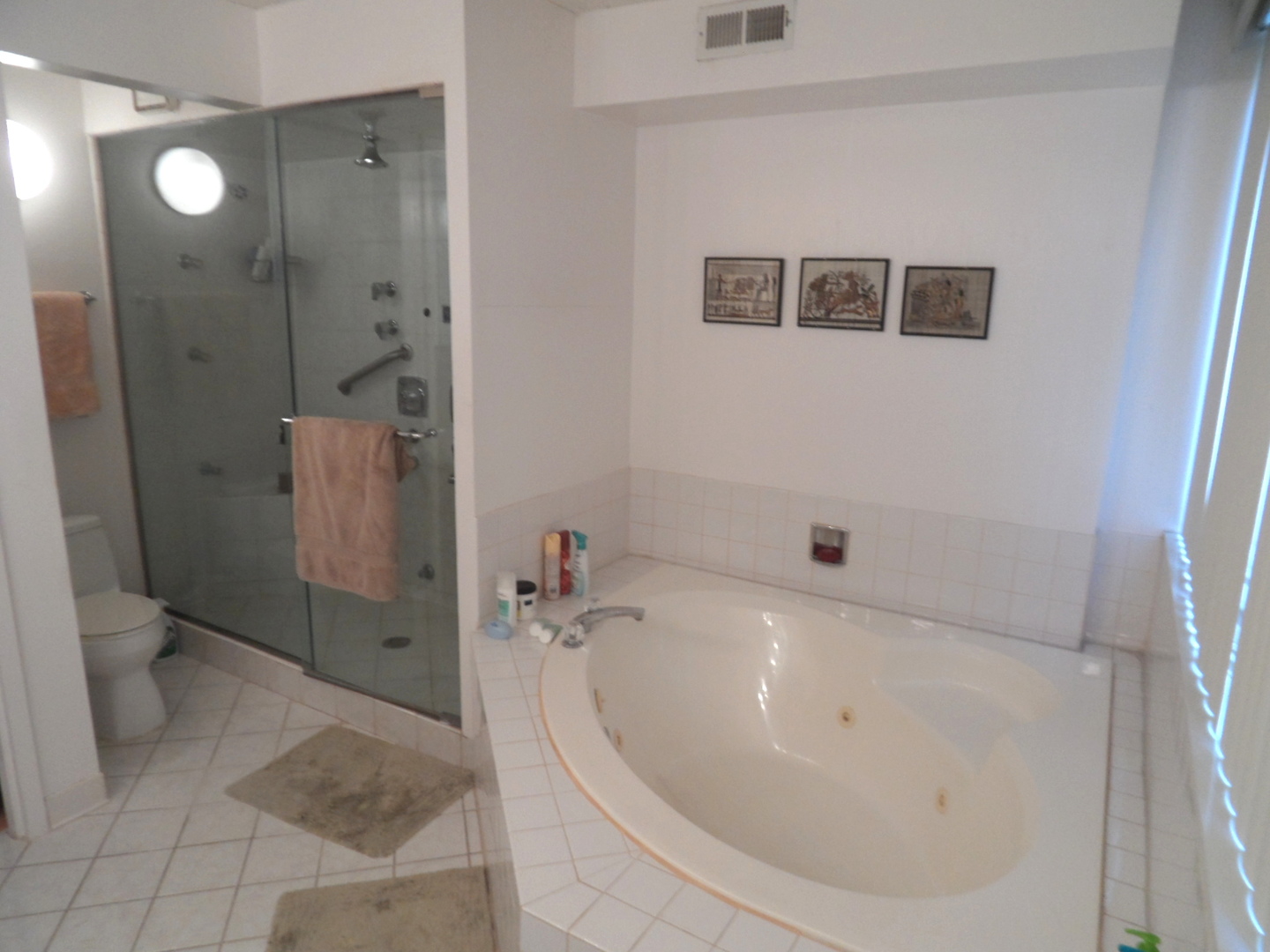 48 Avon Road Northbrook, IL 60062 - Photo 26 of 40