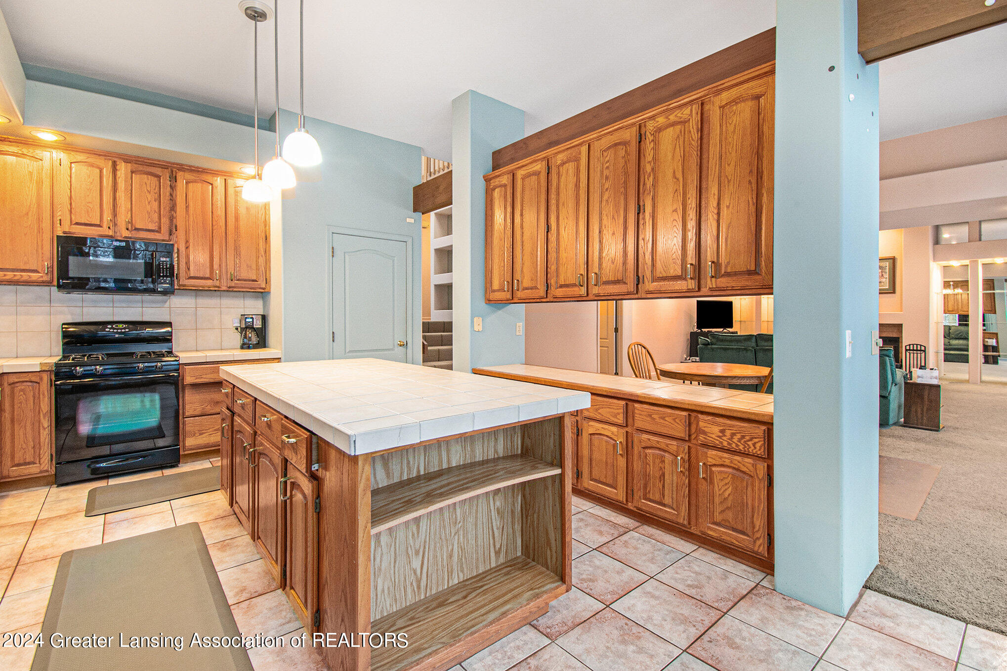 351 Newman Road Okemos, MI 48864 - Photo 18 of 46 020_ndp1434