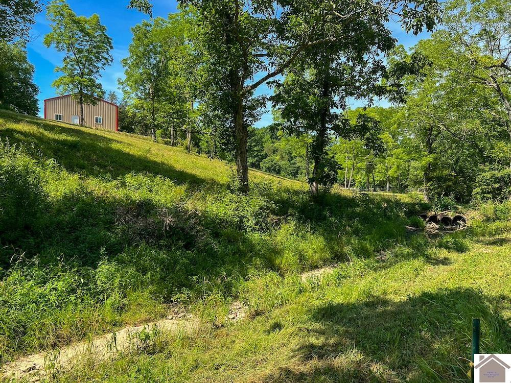 2075 Cedar Road Stamping Ground, KY 40379 - Photo 33 of 35 Photo 33
