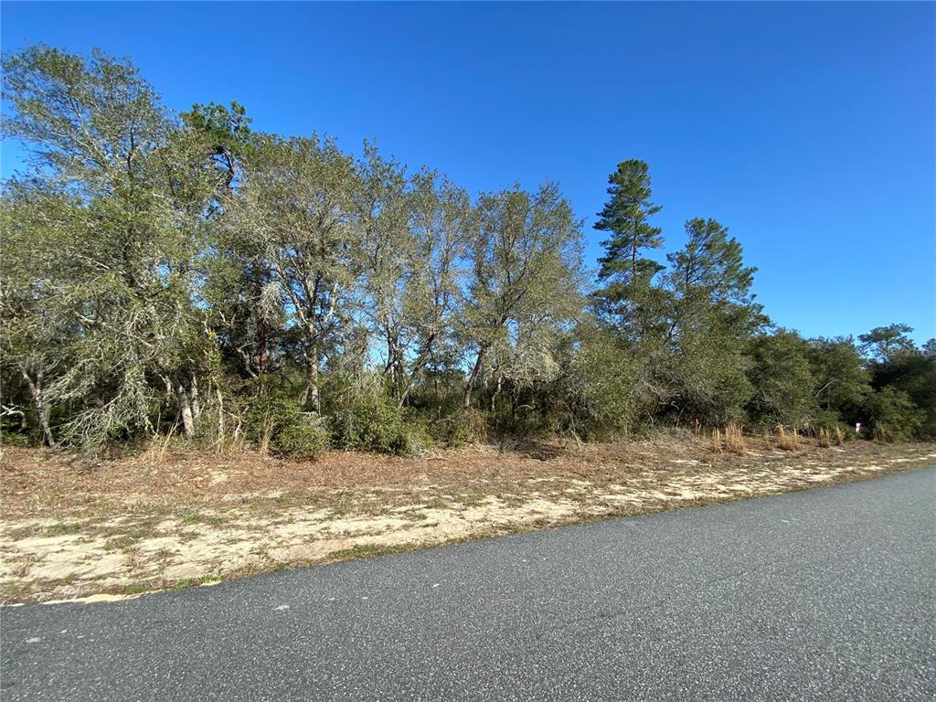 166 Southwest 166th Lane Ocala, FL 34473 - Photo 1 of 1