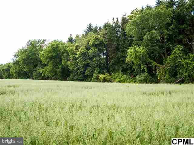 Lot 1 Chestnut Grove Road Dillsburg, PA 17019 - Photo 1 of 1 Gallery Image 1