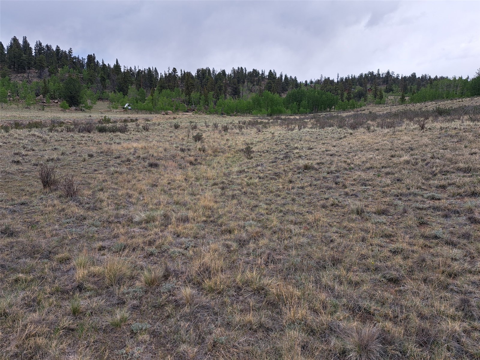 80 Longbow Court Como, CO 80456 - Photo 7 of 24 a view of lake with green space