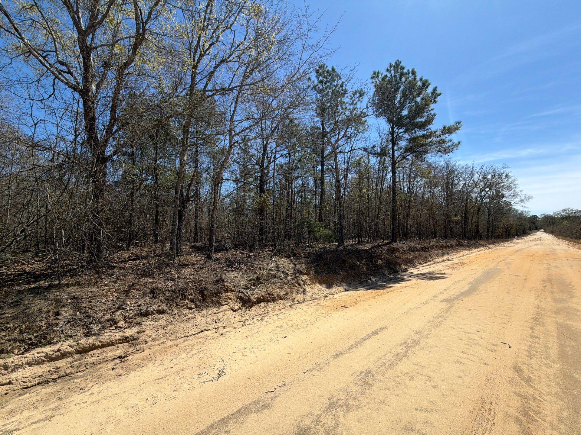 9 Boise Cascade Road, Unit BHL 9 Bethune, SC 29009 - Photo 1 of 44 44-Mar 18 2026 05_08pm-RE5G