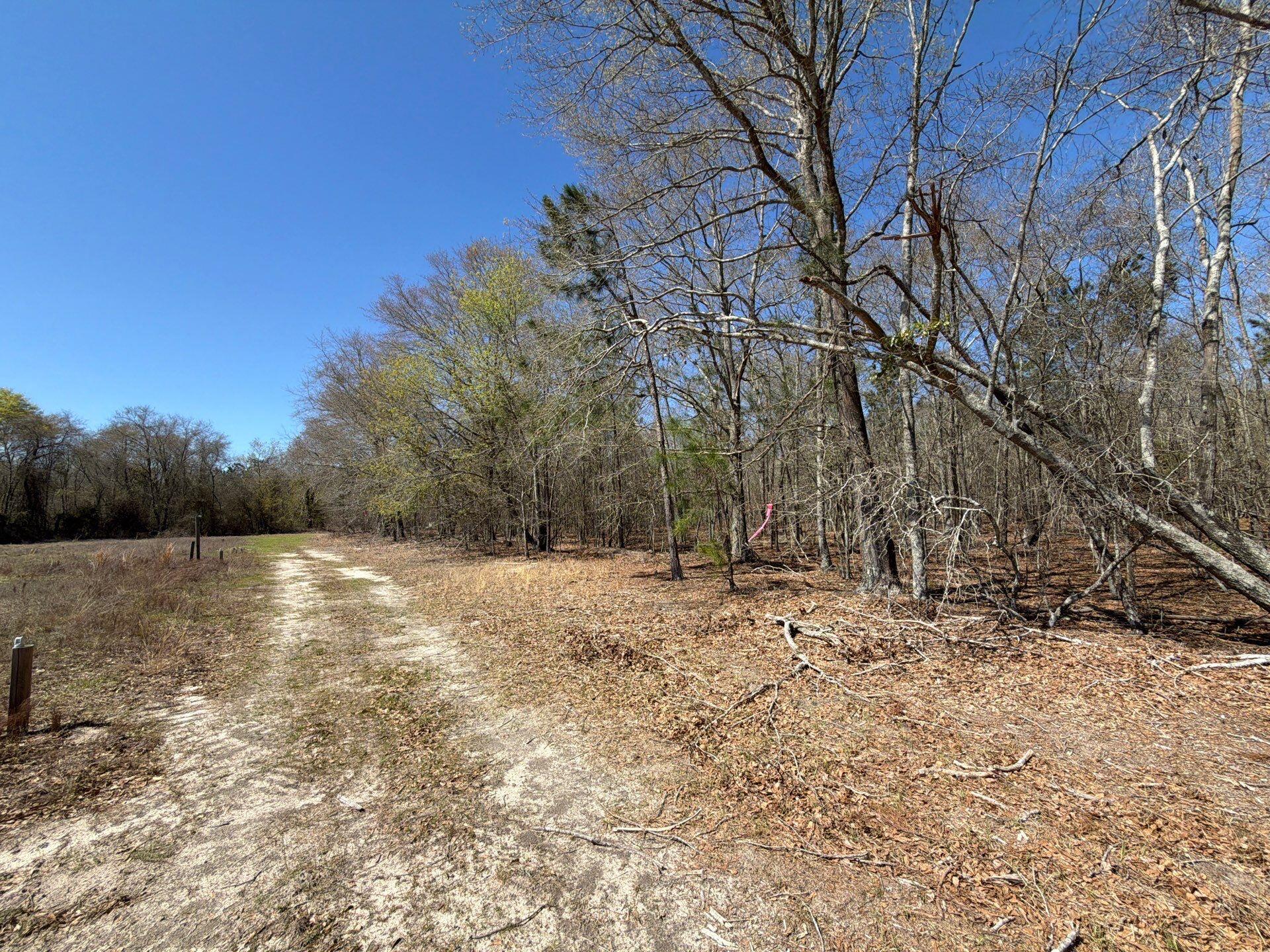 9 Boise Cascade Road, Unit BHL 9 Bethune, SC 29009 - Photo 12 of 44 33-Mar 18 2026 04_59pm-9nxP