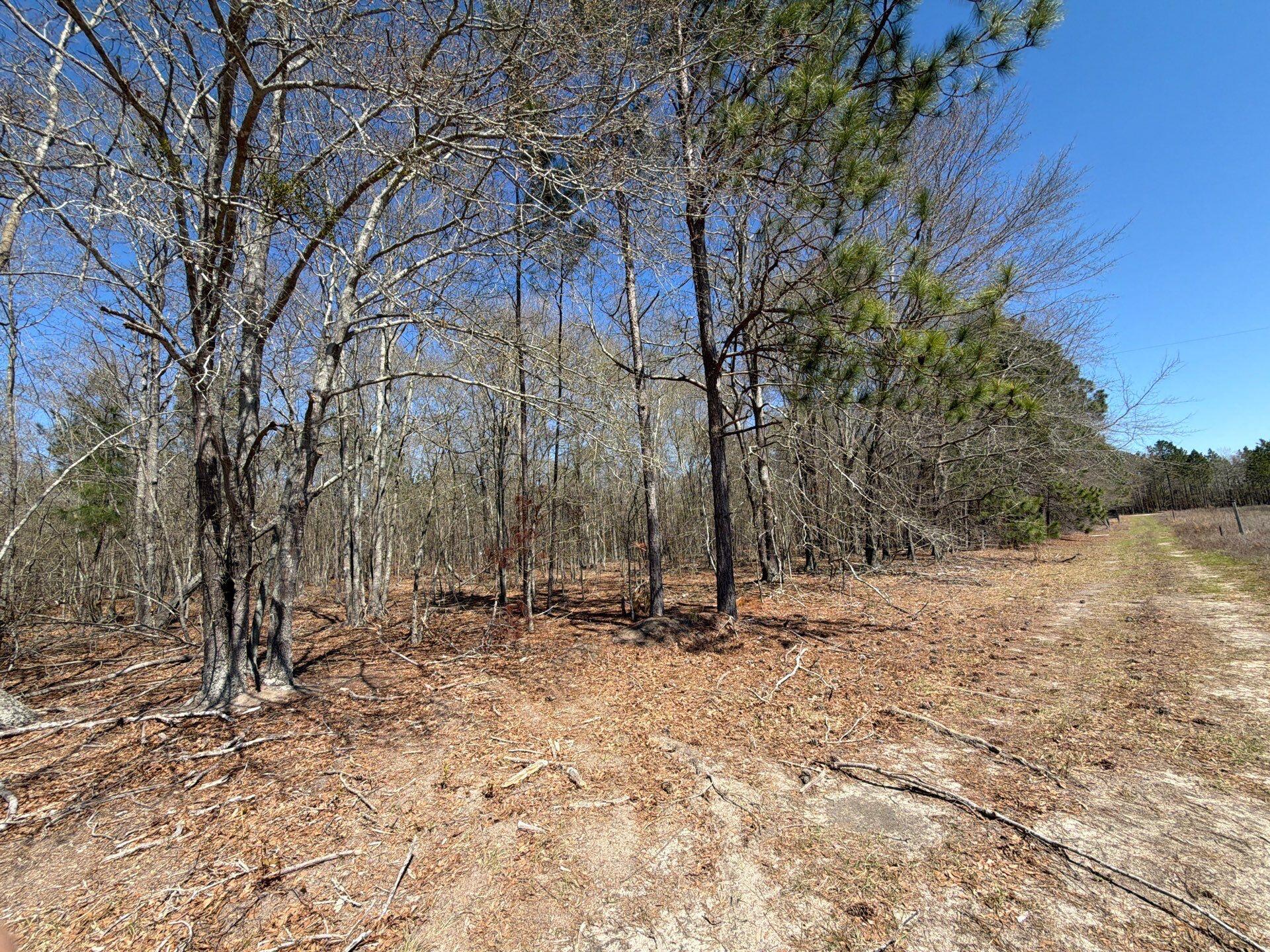 9 Boise Cascade Road, Unit BHL 9 Bethune, SC 29009 - Photo 13 of 44 32-Mar 18 2026 04_59pm-EPW7