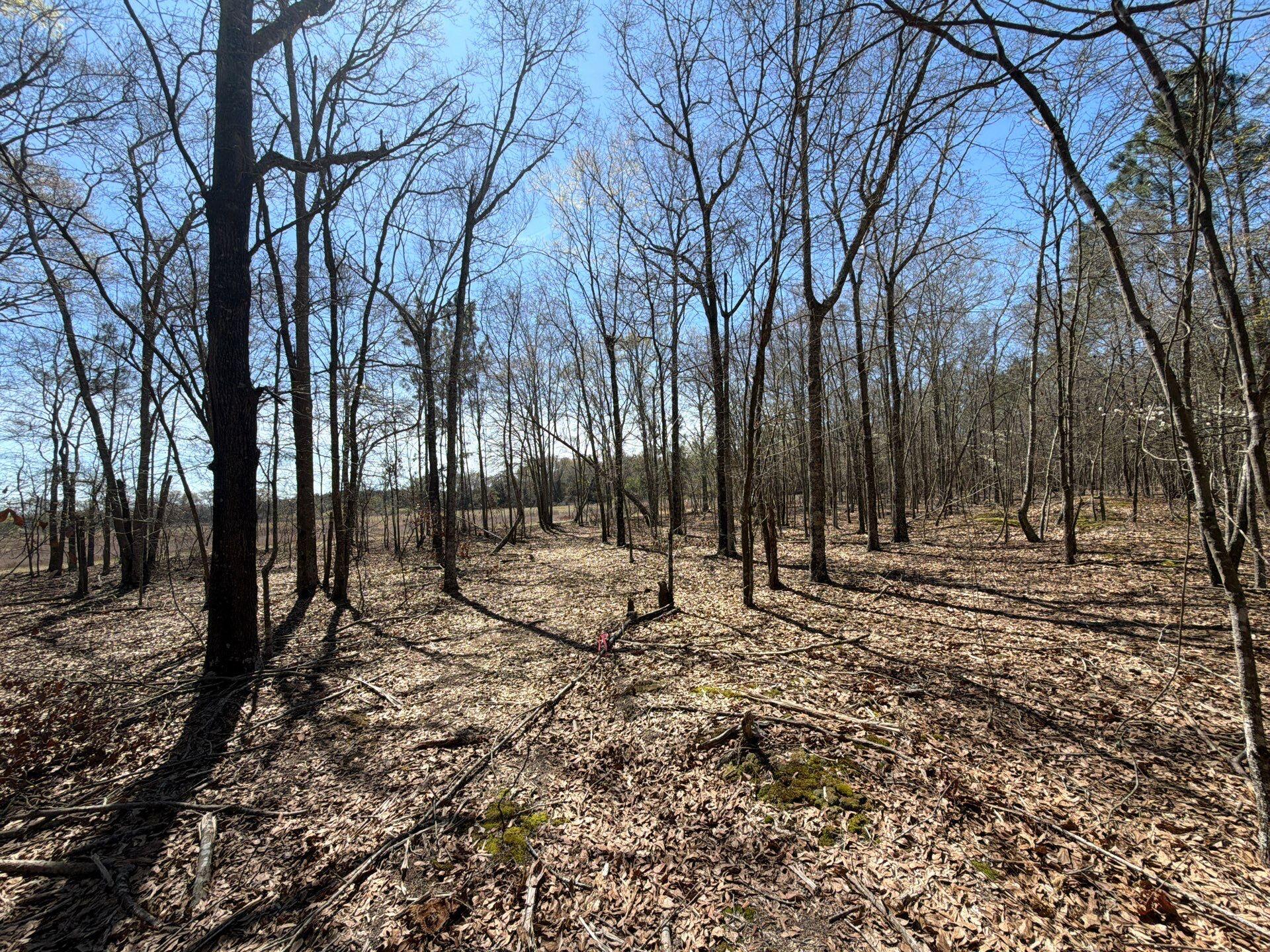 9 Boise Cascade Road, Unit BHL 9 Bethune, SC 29009 - Photo 15 of 44 30-Mar 18 2026 04_58pm-xcqK