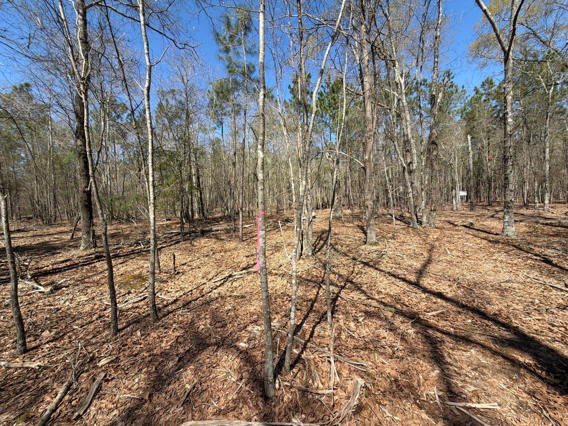 9 Boise Cascade Road, Unit BHL 9 Bethune, SC 29009 - Photo 18 of 44 27-Mar 18 2026 04_57pm-b24j