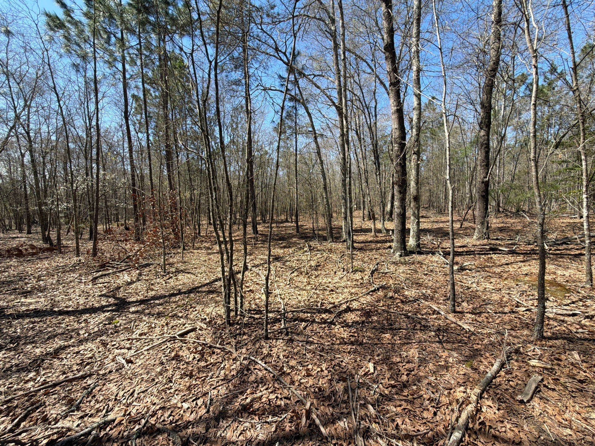 9 Boise Cascade Road, Unit BHL 9 Bethune, SC 29009 - Photo 19 of 44 26-Mar 18 2026 04_57pm-UxcJ