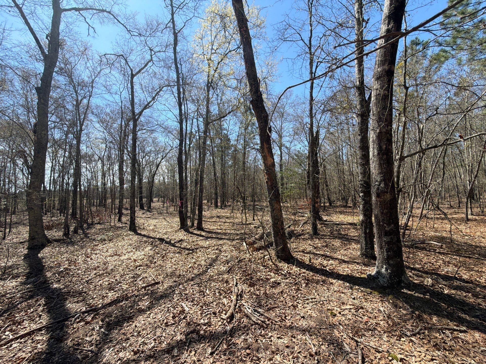 9 Boise Cascade Road, Unit BHL 9 Bethune, SC 29009 - Photo 21 of 44 24-Mar 18 2026 04_57pm-6tS1