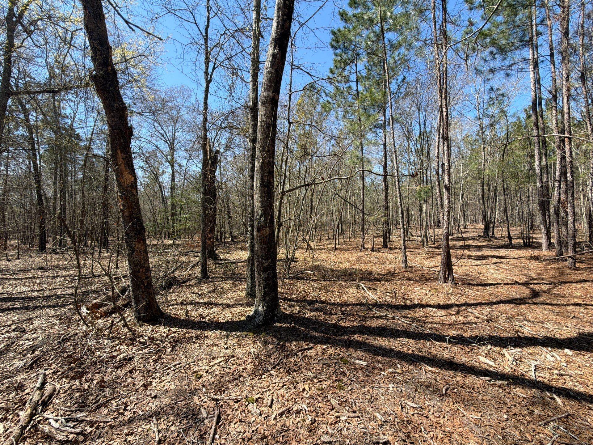 9 Boise Cascade Road, Unit BHL 9 Bethune, SC 29009 - Photo 23 of 44 22-Mar 18 2026 04_57pm-hkgU
